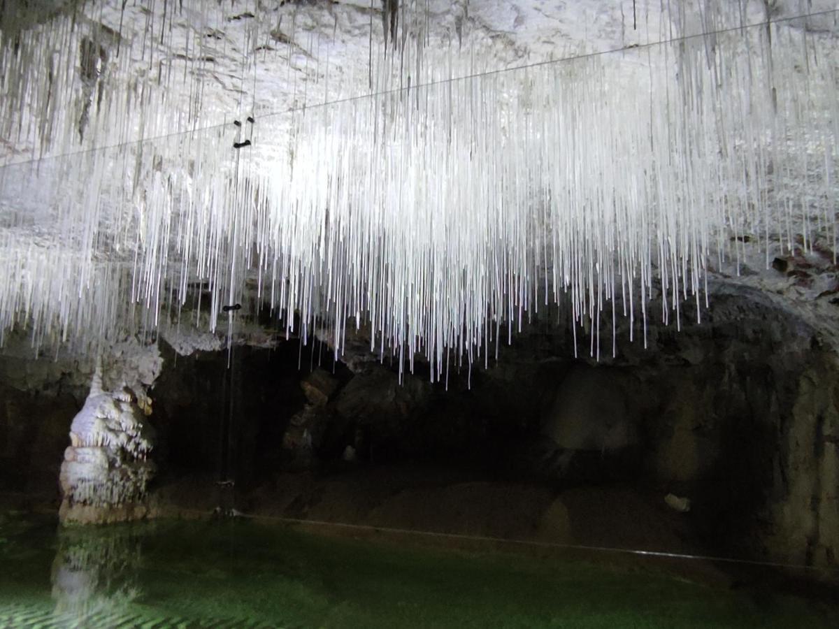 Chambre Genissieux, Vue Sur Vercors Eksteriør bilde
